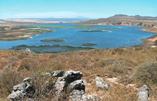 Verlorenvlei Eland's Bay West Coast Western Cape